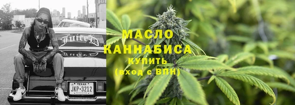 шишки Няндома