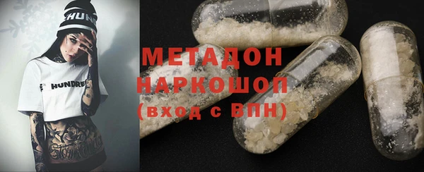 шишки Няндома