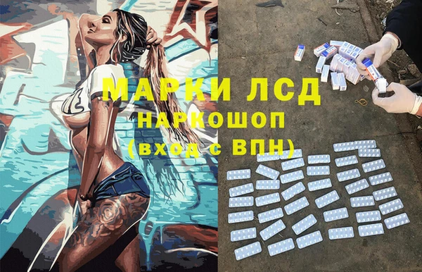 шишки Няндома
