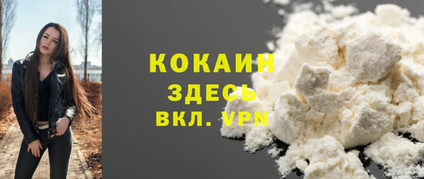 шишки Няндома