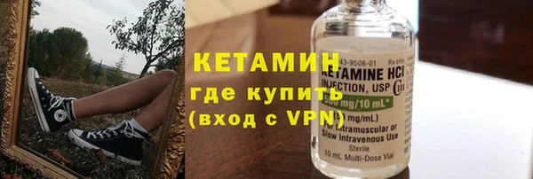 шишки Няндома