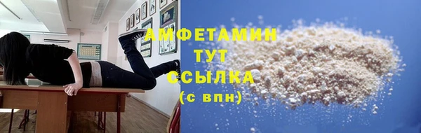 шишки Няндома