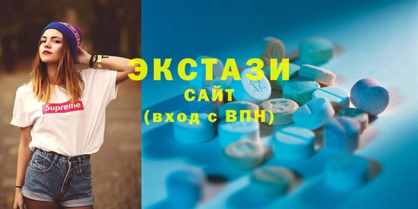шишки Няндома