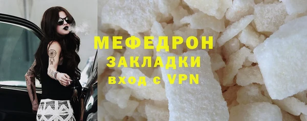 шишки Няндома