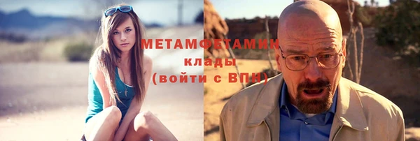 шишки Няндома