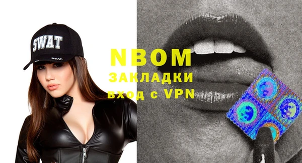 шишки Няндома