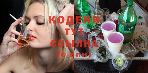 шишки Няндома