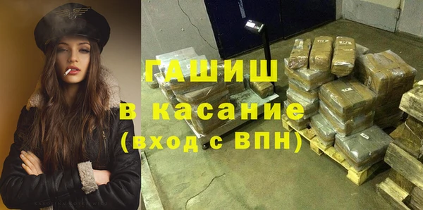 шишки Няндома