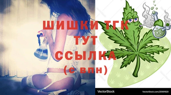 шишки Няндома