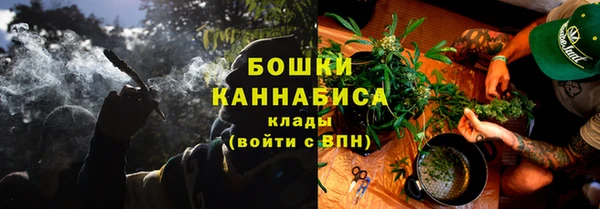 прущие грибы Заволжье