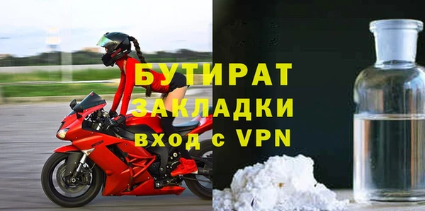 шишки Няндома
